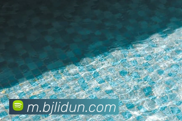 百家乐网站品牌故事