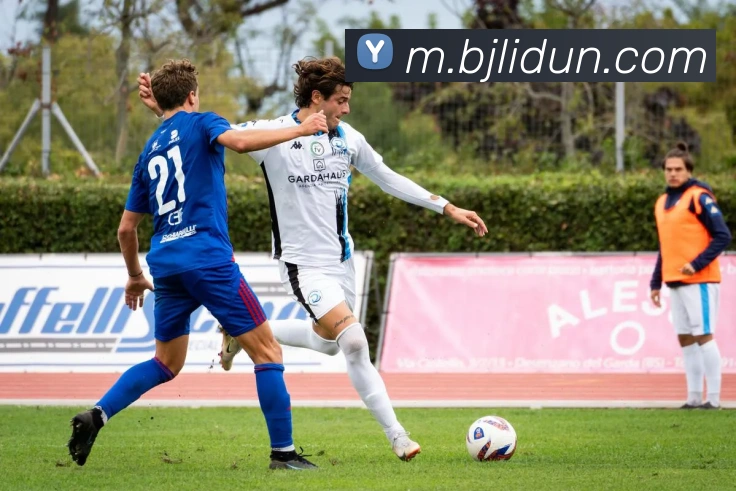 百家乐网站服务体系